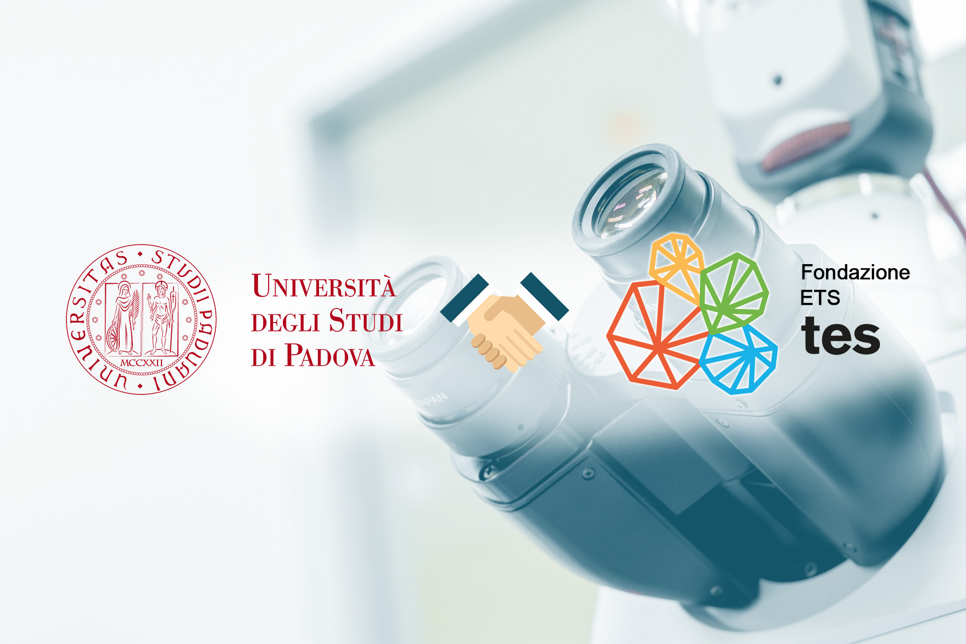 Fondazione TES e Università di Padova rinnovano la collaborazione scientifica per il biennio 2026–2027 Fondazione TES e Università di Padova rinnovano la collaborazione scientifica per il biennio 2026–2027